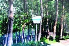 從公交站臺改造感受宿遷幸福變遷